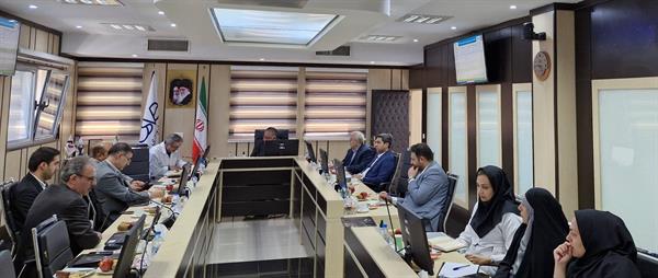 نشست مدیران شرکت سرمایه گذاری شفادارو و شرکت داروسازی اسوه